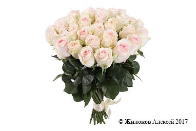 ����� 31 ���� ���������