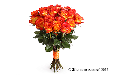 ����� 21 ���� ��� ������