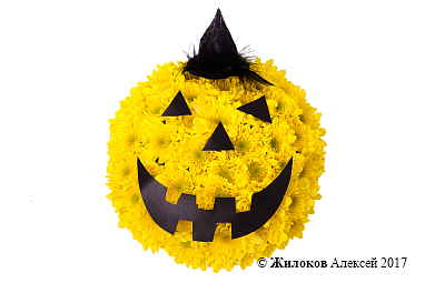 ���������� ���������� �����