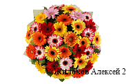 Букет с герберами Экспромт