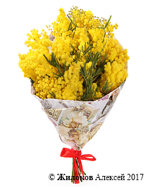 ����� �������� ������