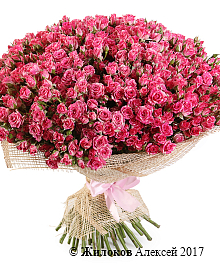 ����� ������� �������