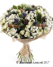 ����� ����� ������