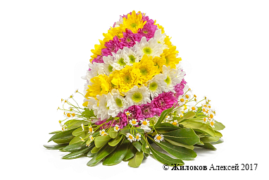 ���������� �� ��������� ��������� ����