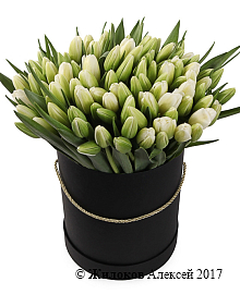 ����� 101 ����������� ������� � ������ ������� �������, �����