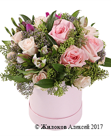 ����� ������ ��� � ������� �������