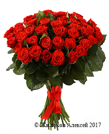 ����� 51 ������� ����, 50 ��