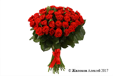 ����� 51 ������� ����, 50 ��