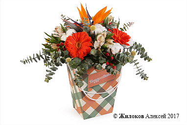 ����� ���������