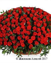 ����� 501 ���� � �������