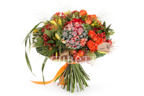 ����� ������� ���������