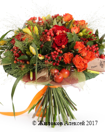 ����� ������� ���������