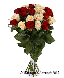 ����� 21 ���� ����