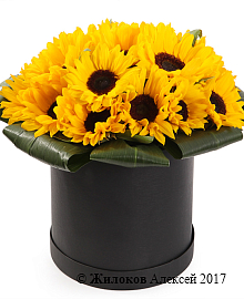 ����� � ������������ ��������� ������ � ������� �������