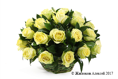 ����� 35 ��� ����� � �������