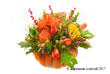 ���������� ��������� ��� � �����