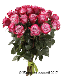 ����� 21 ���� ��� �����