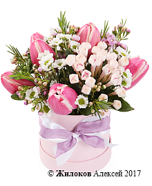 ����� �������� ������� � ������� �������