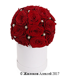 ����� ������ ������ � ������� �������