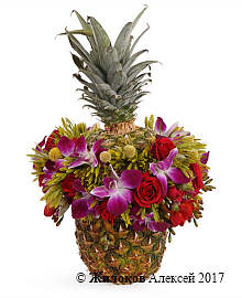 ����� ���� ������