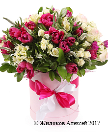 ����� �������� ������ ������� �������