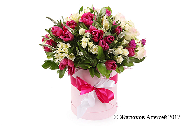 ����� �������� ������ ������� �������