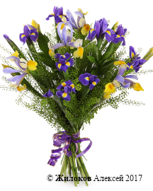 ����� � ������� �� ������