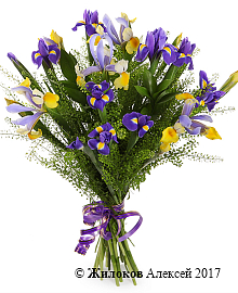 ����� � ������� �� ������