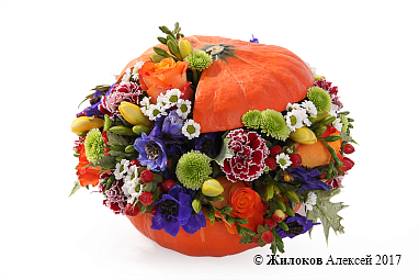 ���������� ������� ������ � �����