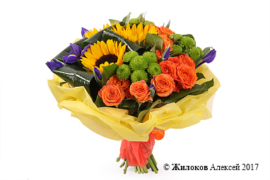 ����� ������ �� ������