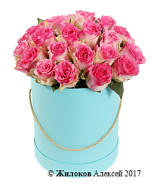 ����� 25 ��� ������ � ������� �������