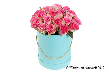 ����� 25 ��� ������ � ������� �������