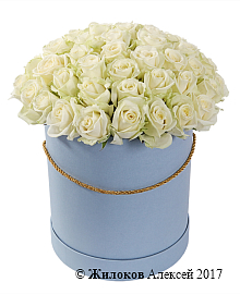 ����� 51 ���� ������� � ������� �������