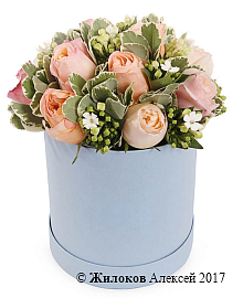 ����� ��������� ���� � ������� �������