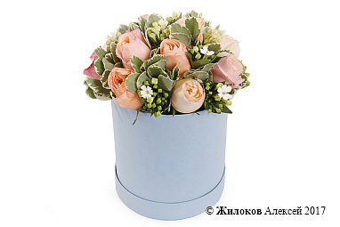 ����� ��������� ���� � ������� �������