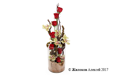 ����� ������������ ������� � ����