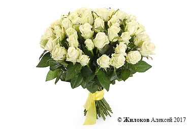 ����� 51 ���� ��������, 50 ��