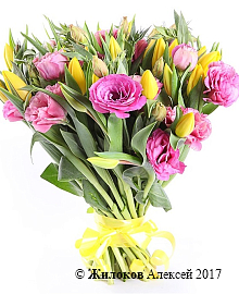 ����� ������������� ����