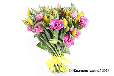 ����� ������������� ����