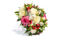 ����� ������� ��������