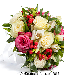 ����� ������� ��������