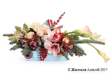 ���������� ������� ��� � �����