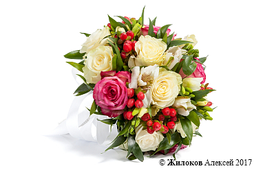 ����� ������� ��������