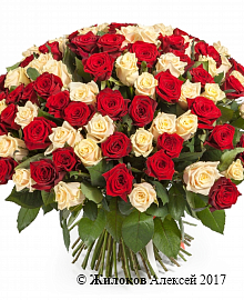 ����� 101 ���� ����