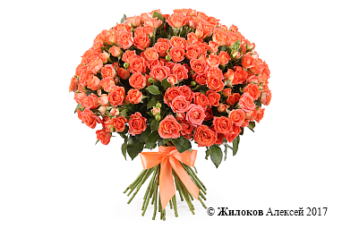 ����� ����������, 50 ���