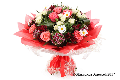 ����� ���������� ����������