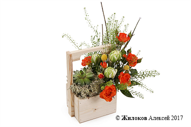 ���������� ������ ����