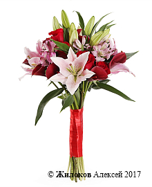 ����� ���������