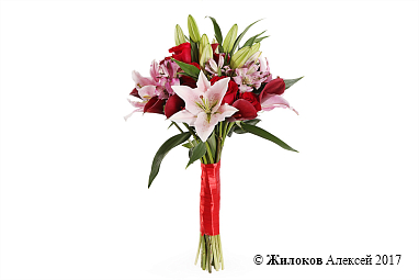 ����� ���������