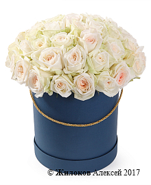 ����� 51 ���� ���� �'���� � ������� �������